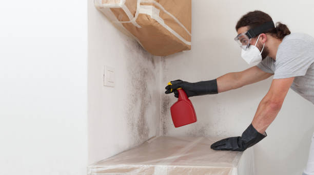 Professional Bathroom Mold Removal technician working in Gladwyne, PA